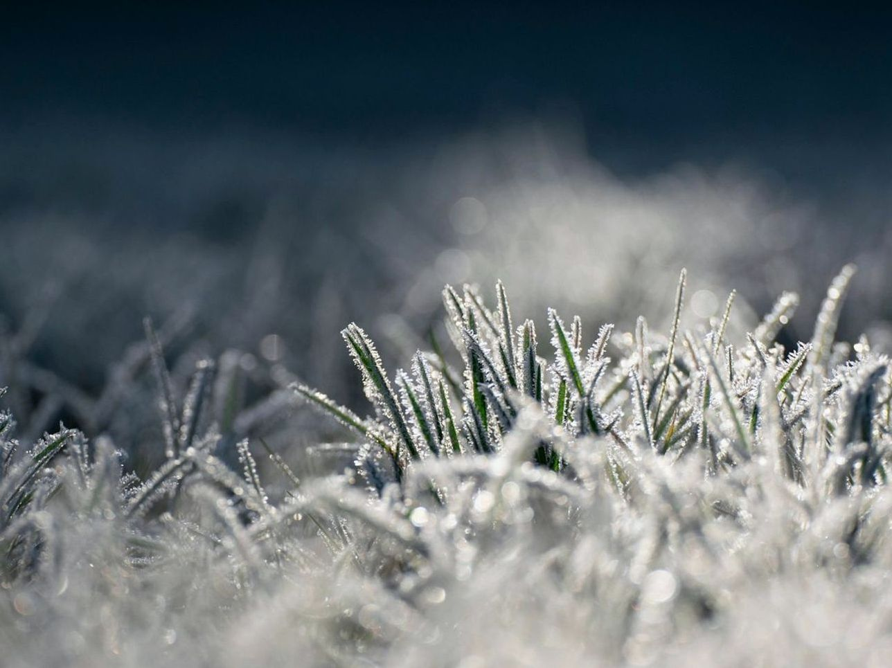 Prato innevato sotto un valico alpino in inverno